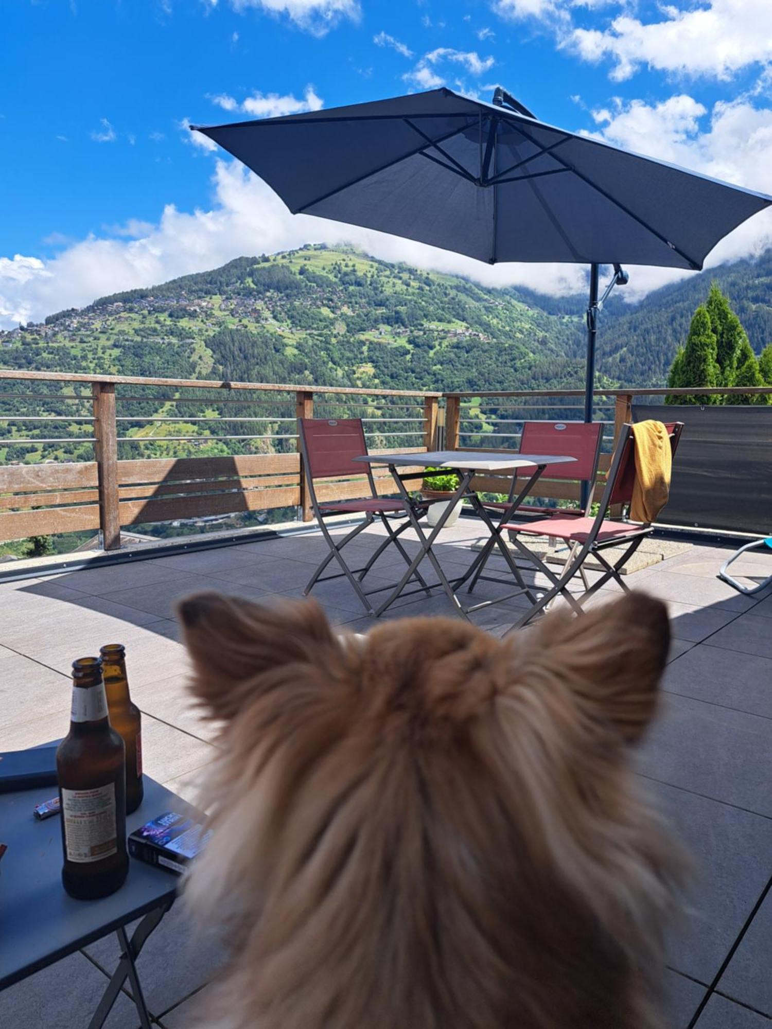 Alt'O Martinets Guest House Nendaz Bagian luar foto