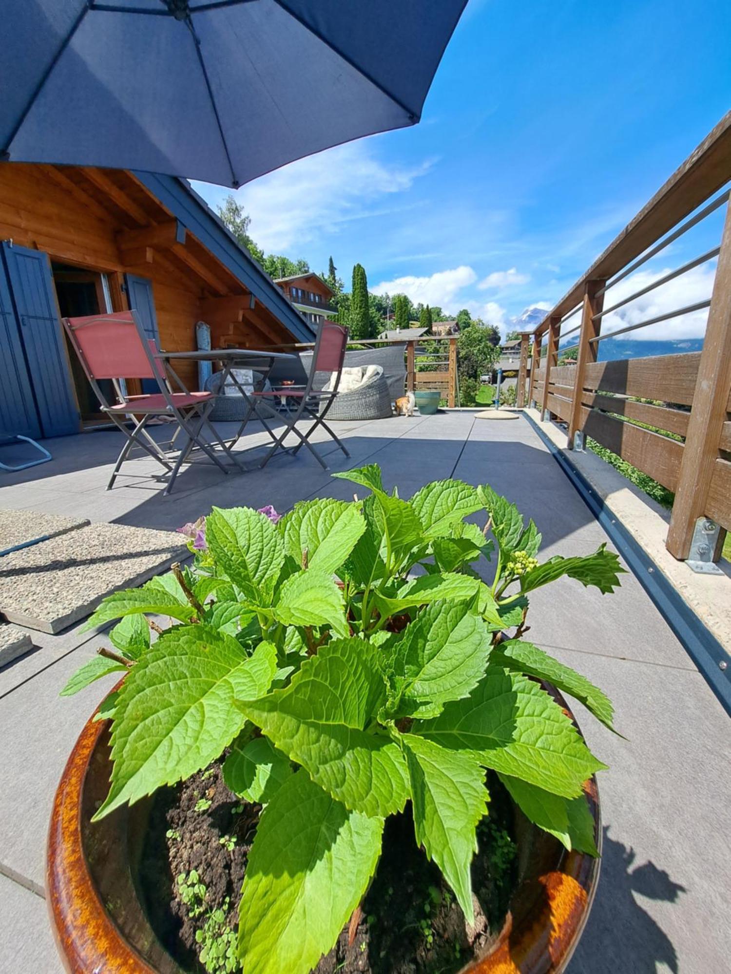 Alt'O Martinets Guest House Nendaz Bagian luar foto