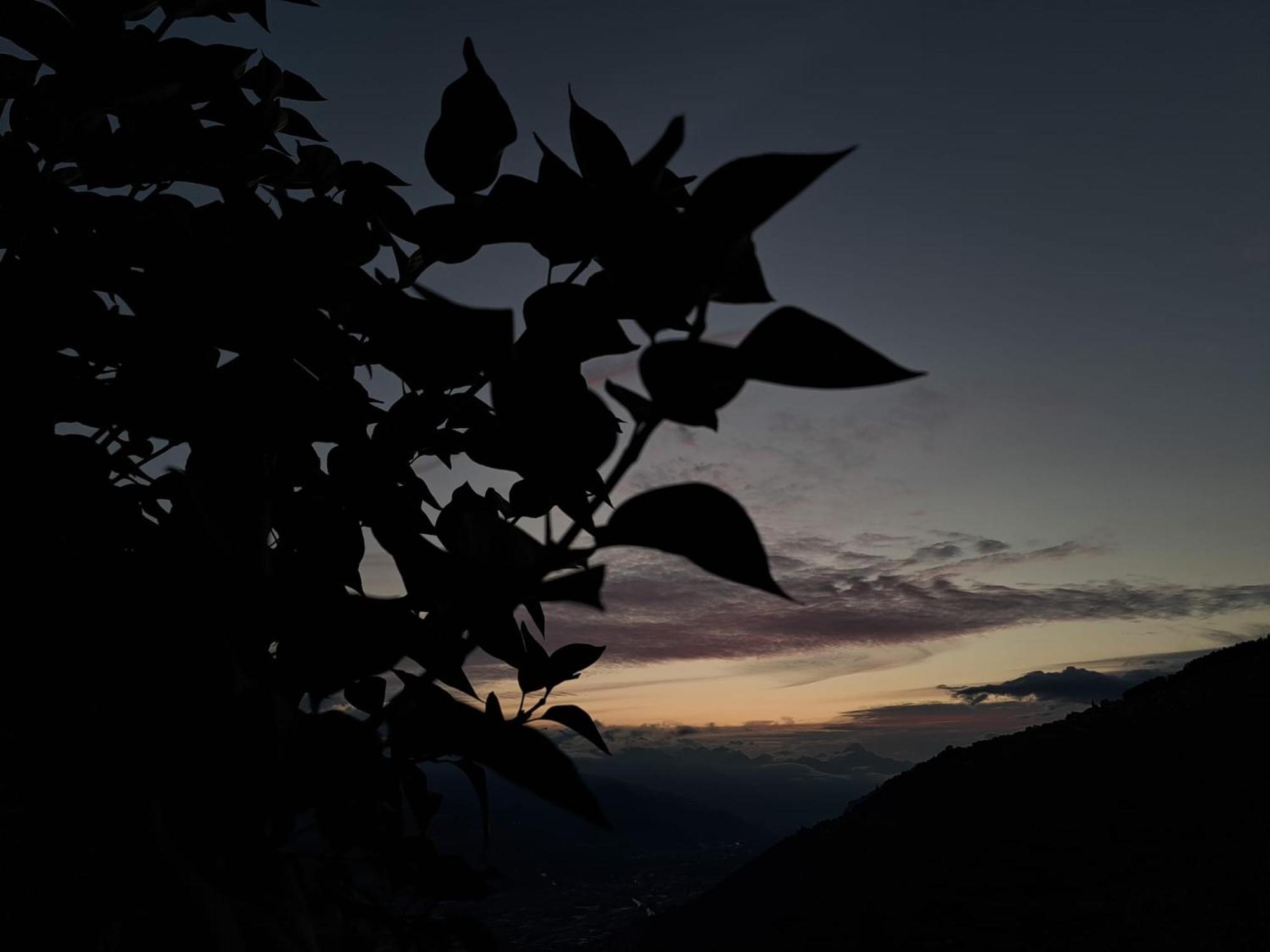 Alt'O Martinets Guest House Nendaz Bagian luar foto